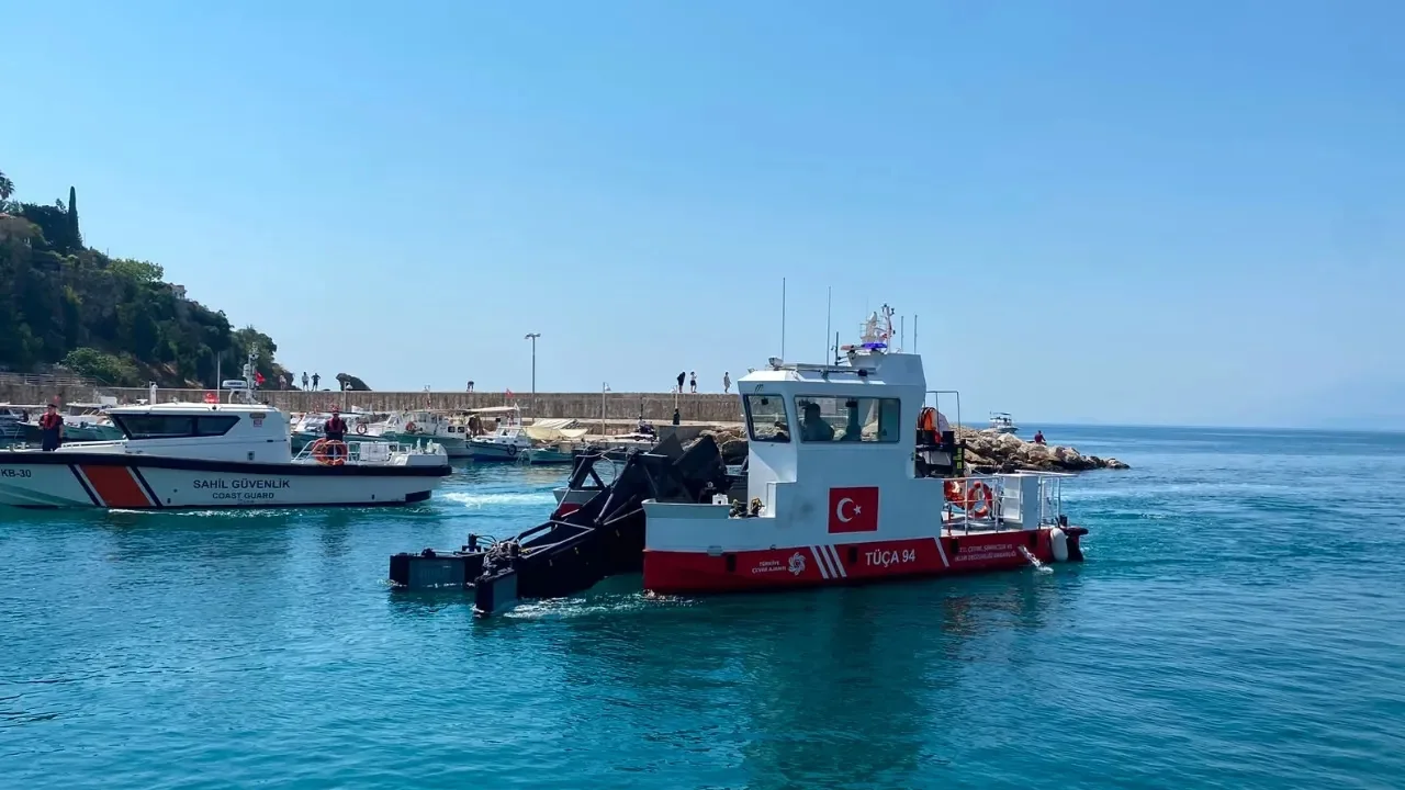 Deniz Süpürgesi